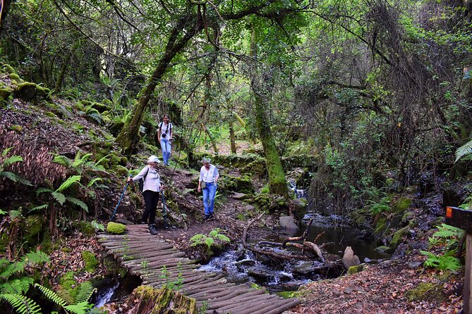 An Adventure Through the Schist Villages of Lousa (With Walk) - Meeting and Pickup Location