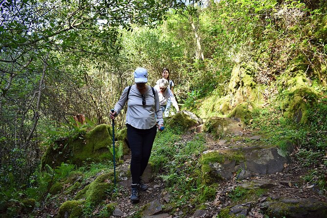 An Adventure Through the Schist Villages of Lousa (With Walk) - Pricing and Cancellation Policy