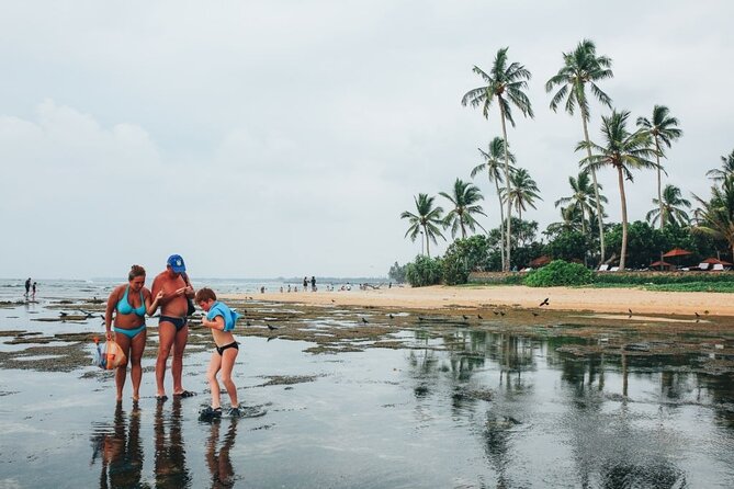 An Amazing Beach Tour in Sri Lanka - Explore Colombos Beaches