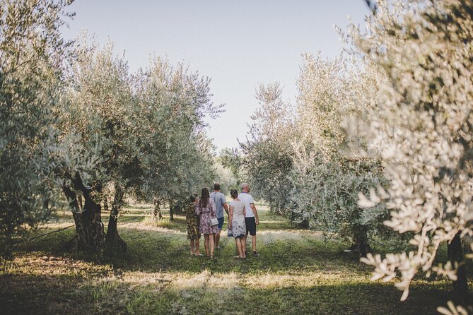 An Authentic Istrian Olive Oil, Wine & Local Food Experience Near Umag - Reviews and Ratings