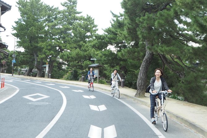An E-Bike Cycling Tour of Matsue That Will Add to Your Enjoyment of the City - Experiencing Matsue Castle and Yashiro Shrine