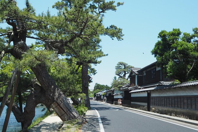 An E-Bike Cycling Tour of Matsue That Will Add to Your Enjoyment of the City - What to Expect on the Tour