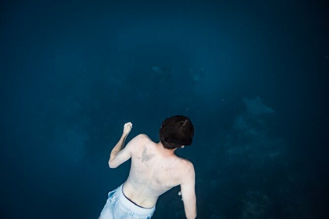 An Eagle Ray and Turtle Tour-Small Groups & Photography Included - What to Expect on the Eagle Ray and Turtle Tour