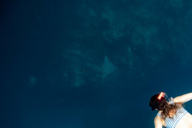 An Eagle Ray and Turtle Tour-Small Groups & Photography Included - Final Thoughts