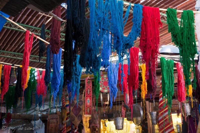 An Escorted Tour for the Best Views of Marrakech.. - Inclusions and Accessibility