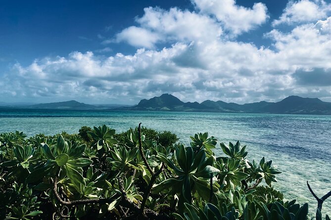 An Excursion of the South East Lagoon of Mauritius - Key Points