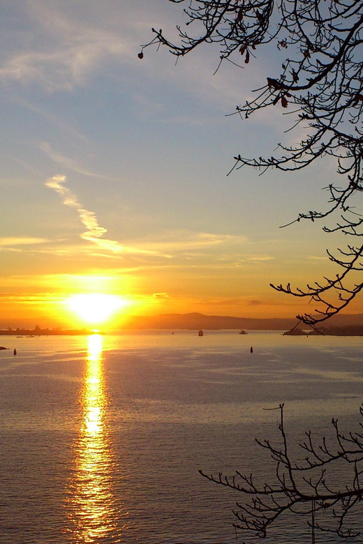 An Oslo Waterfront Stroll: Self-paced Audio Tour - Highlights of the Experience