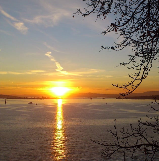 An Oslo Waterfront Stroll: Self-paced Audio Tour - Customer Feedback and Ratings