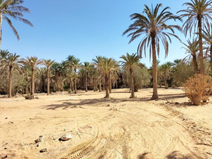 An Overnight in the Sahara (Private) - Frequently Asked Questions
