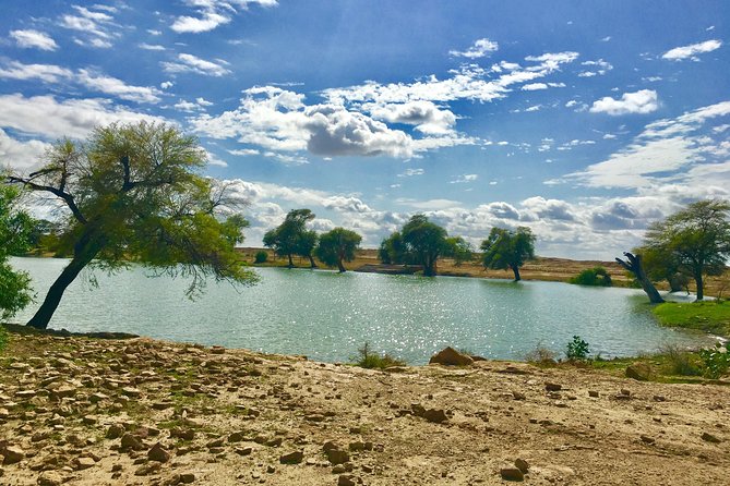 An Overnight Non-touristic Camel Safari (2PM to 11:30 AM Next Day) - Accessibility and Restrictions