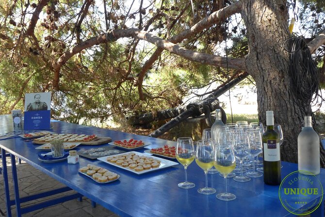 An Unforgettable Day With Fish, Wine and Olive Oil Tasting - Highlights