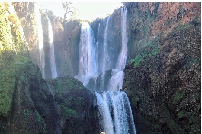 An Unforgettable Ouzoud Waterfall Day Trip From Marrakech - Pickup and Meeting