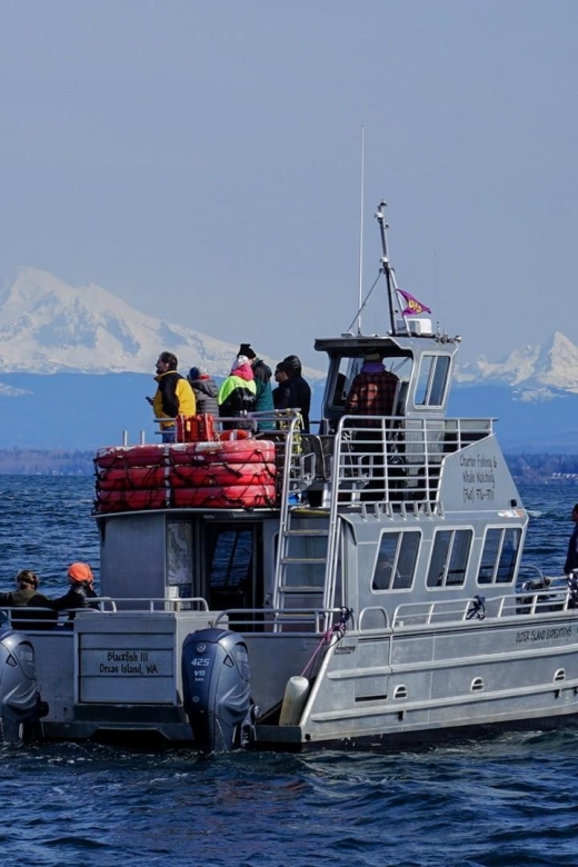 Anacortes: Orca Whales Guaranteed Boat Tour Near Seattle - Details About the Tour