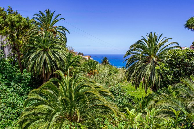 Anaga Private Tour: Valleys of Nature and Tradition - Savor Included Lunch and Refreshments