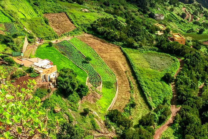 Anaga Private Tour: Valleys of Nature and Tradition - Pickup and Drop-off Convenience