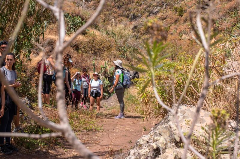 Anaga: Women Wise Footprints Tour - Key Points