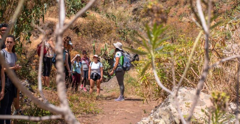 Anaga: Women Wise Footprints Tour - Language Options for Tour Guides