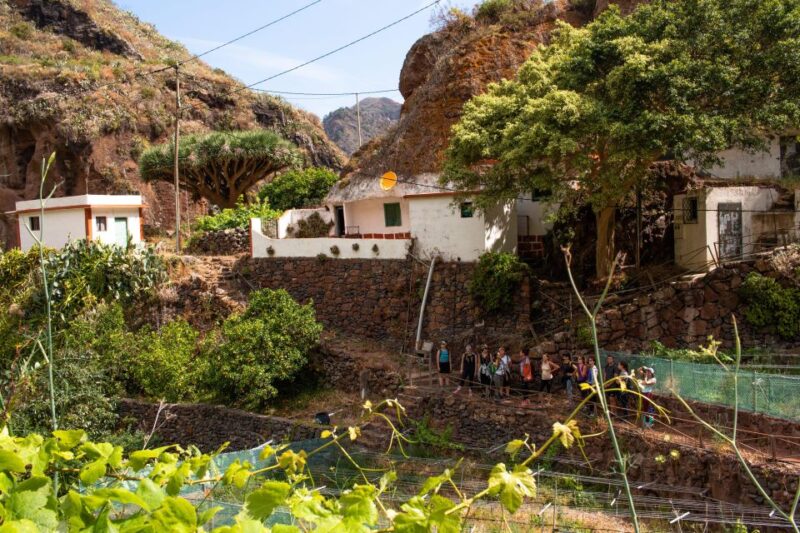 Anaga: Women Wise Footprints Tour - Private Group Experience