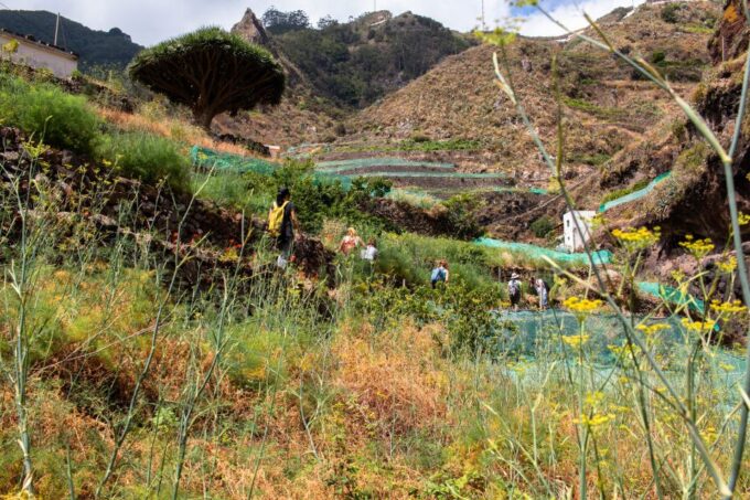 Anaga: Women Wise Footprints Tour - Frequently Asked Questions