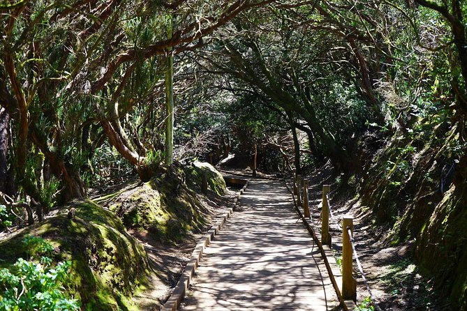 Anagas Biosphere Reserve VIP TOUR - Transport and Pickup Information