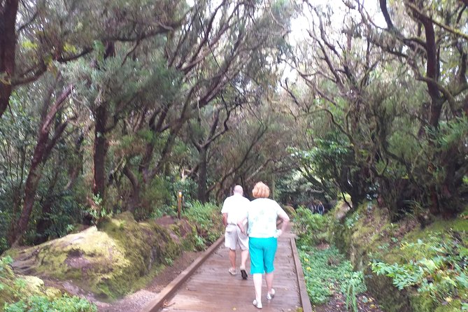 Anagas Biosphere Reserve VIP TOUR - Exploring Santa Cruz De Tenerife