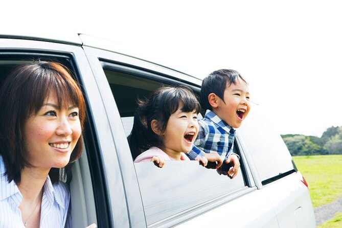 Anaheim Resort Private Transfer to or From Hollywood - Safety Considerations