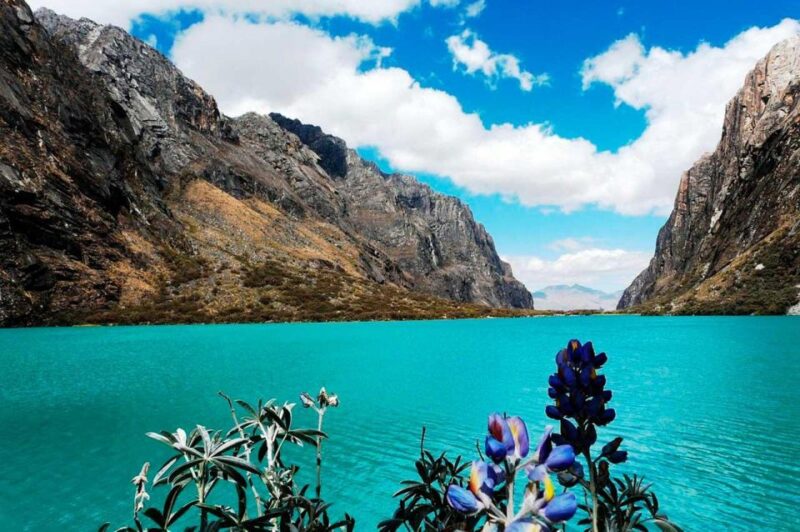 Ancash: Trekking to Llanganuco and Yungay Lagoon |Full Day| - Participant Restrictions
