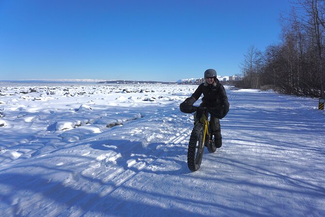 Anchorage 1 Hour Fat Bike Tours - Key Points