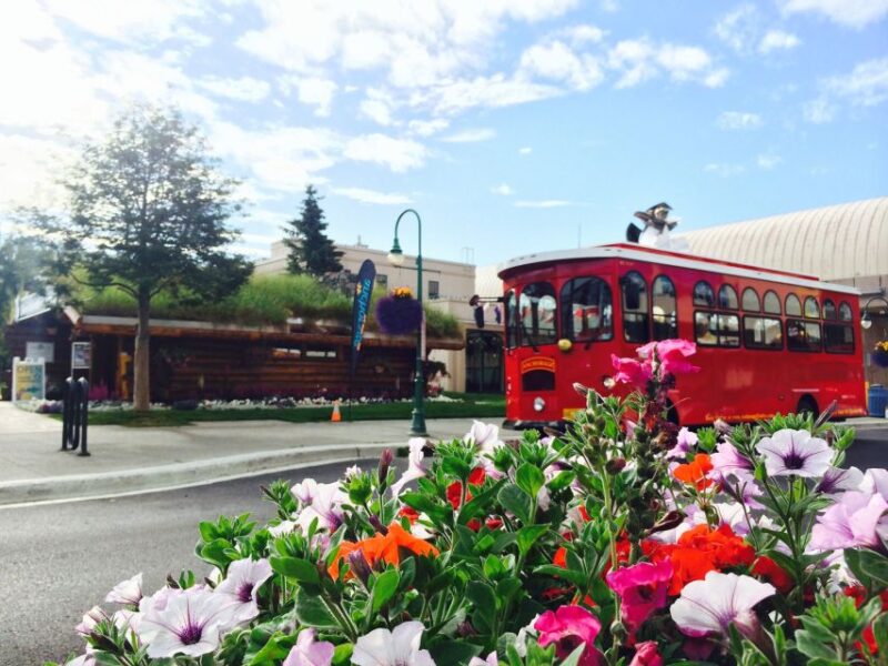 Anchorage: 1-Hour Trolley Tour - Guided Tour Highlights
