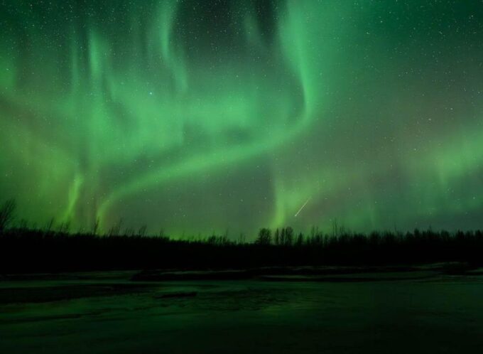 Anchorage: Aurora Borealis Northern Lights Photography Tour - Customer Feedback