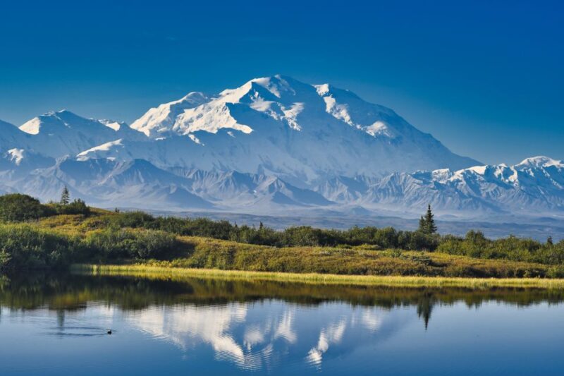 Anchorage: Coastal Trail 3-Hour City Bike Tour - Wildlife Spotting