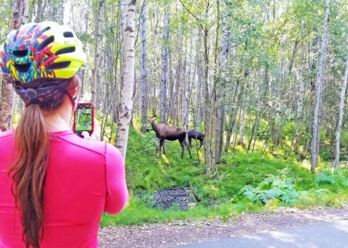 Anchorage: Coastal Trail 3-Hour City Bike Tour - Booking and Cancellation
