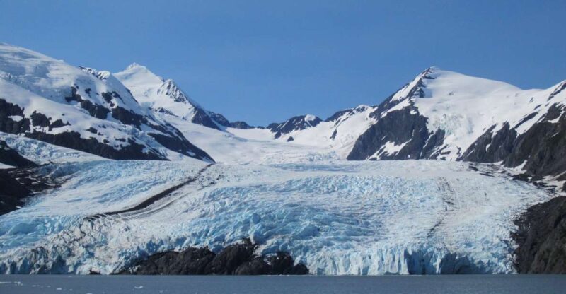 Anchorage: Glacier and Wildlife Explorer Cruise - Highlights and Experiences