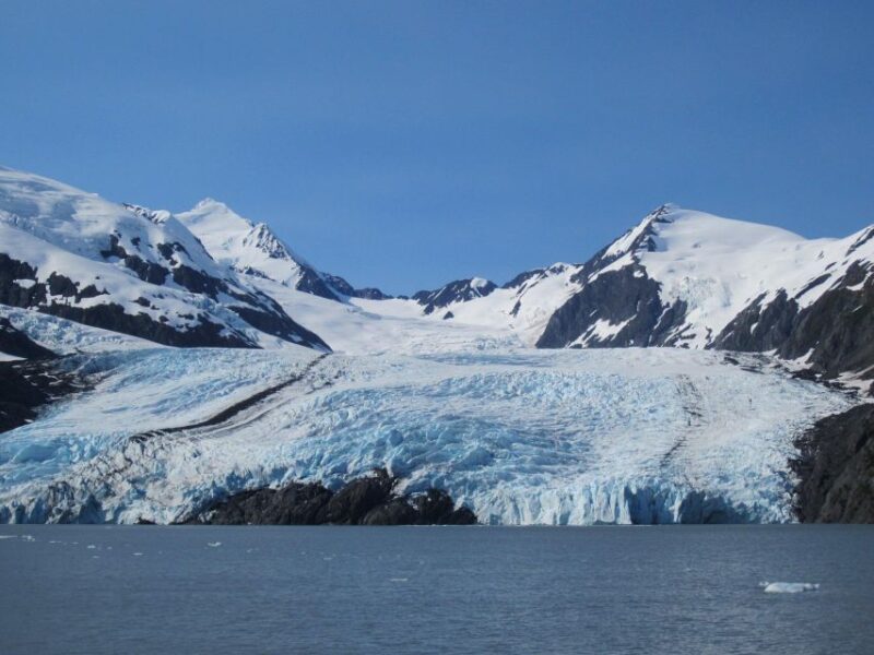 Anchorage: Glacier and Wildlife Explorer Cruise - Wildlife Conservation Center