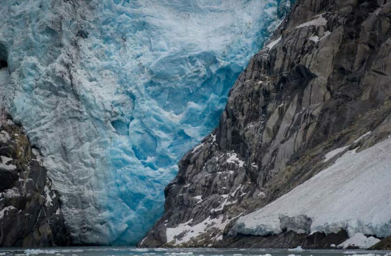 Anchorage: Glacier & Wildlife Discovery Tour (7-hours) - The Itinerary: What to Expect