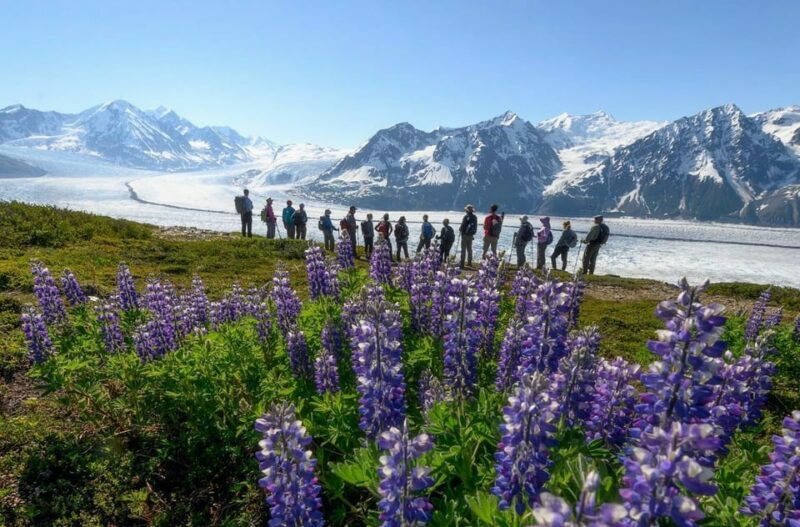 Anchorage: Grand Knik Glacier Helicopter Tour with Landings - FAQ