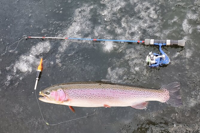 Anchorage Ice Fishing Adventure - Fishing Techniques and Equipment