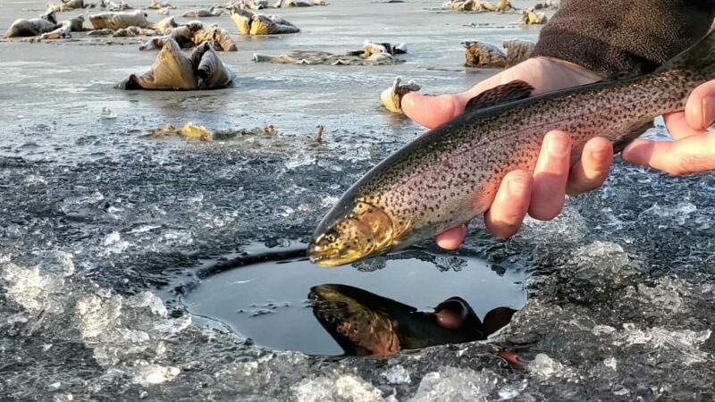 Anchorage: Ice Fishing Trip With Transportation - Key Points