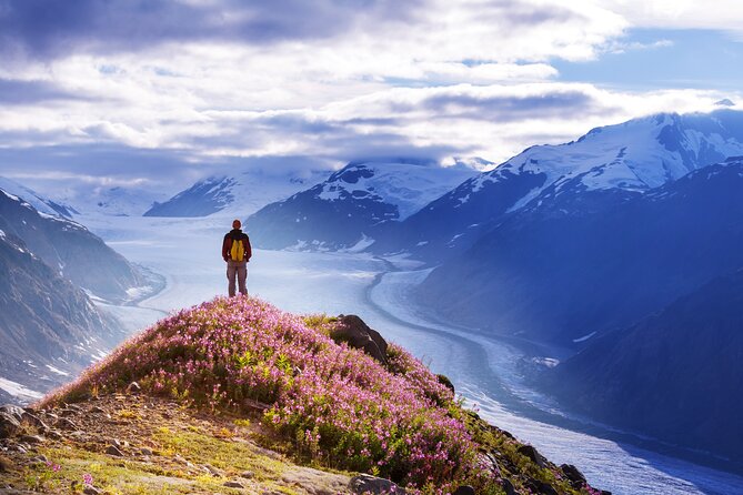 Anchorage: Kenai Fjords & Denali National Park 5 Day 4 Night Tour - Availability and Accessibility