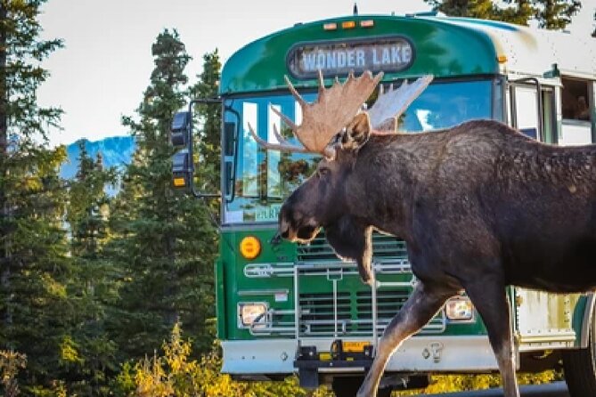 Anchorage: Kenai Fjords & Denali National Park 5 Day 4 Night Tour - Booking Information