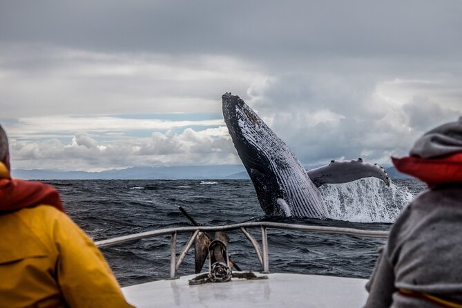 Anchorage: Kenai Fjords & Denali National Park 5 Day 4 Night Tour - Unique Highlights
