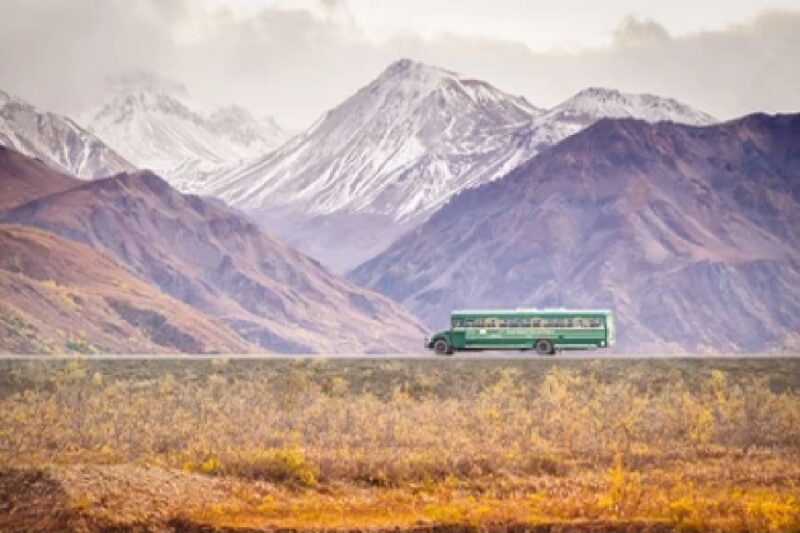 Anchorage: Kenai Fjords & Denali National Park 5 Day Tour - Key Points
