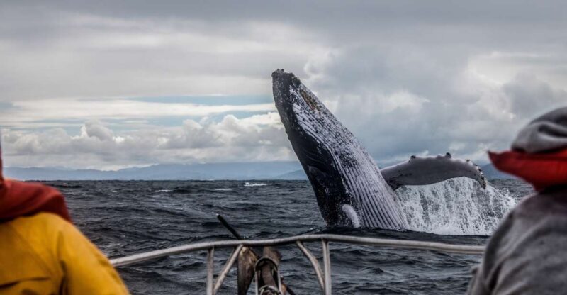 Anchorage: Kenai Fjords & Denali National Park 5 Day Tour - Itinerary and Activities