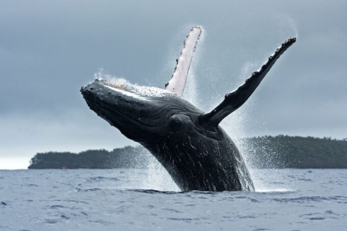 Anchorage: Kenai Fjords & Denali National Park 5 Day Tour - Frequently Asked Questions