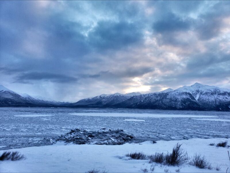 Anchorage: Mystery Sightseeing Tour - Important Details
