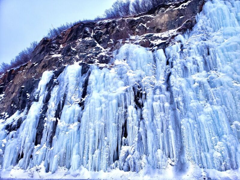 Anchorage: Mystery Sightseeing Tour - Customer Feedback