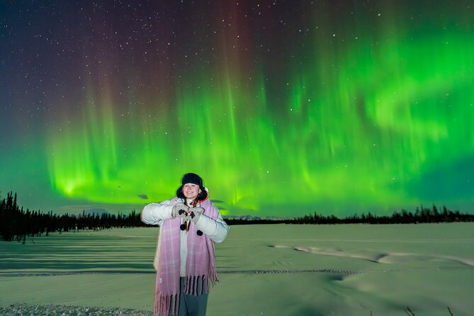 Anchorage Northern Lights Tour - Overview of the Tour