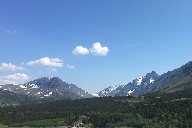 Anchorage Scenic Mountain Bike Tour - What to Expect