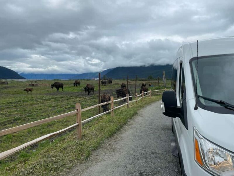 Anchorage: Scenic Tour to Wildlife Center - Frequently Asked Questions