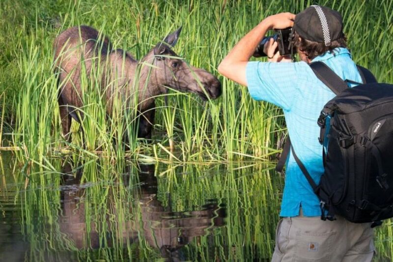Anchorage: Sunset Photo Safari - Important Information